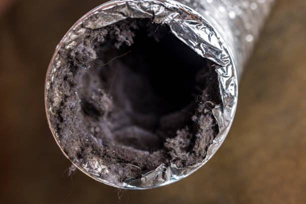 Best Affordable Air Duct Cleaning  in Lexington, MO