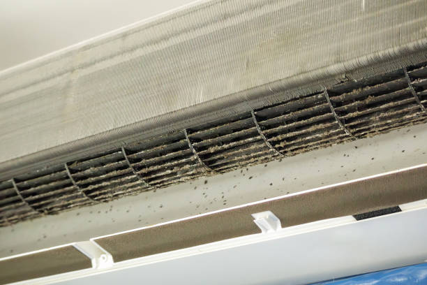 Best HVAC Air Duct Cleaning  in Lexington, MO