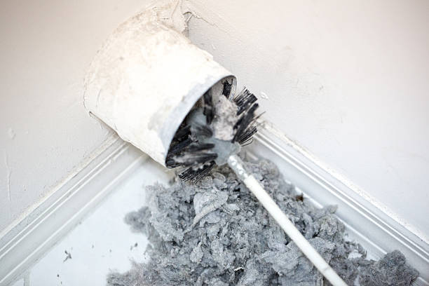 Best Affordable Air Duct Cleaning  in Lexington, MO
